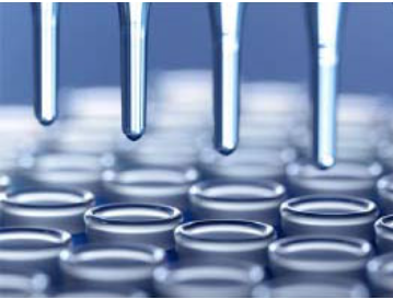 Target cGAS with the Transcreener® cGAMP cGAS Assay