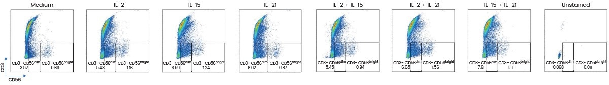 Natural killer (NK) cells expansion was detected by FACS analysis. Representative graphs of CD3−CD56+ (CD56bright and CD56dim) expressing cells demonstrated 3-day treatment of 20 ng/mL IL-2, 20 ng/mL IL-15, and 25 ng/mL IL-21 induced NK cells expansion.