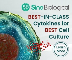 Sino Biological's cutting-edge recombinant cytokines for research and therapeutics