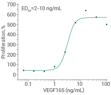Measured in a cell proliferation assay using human umbilical vein endothelial cells (HUVEC).