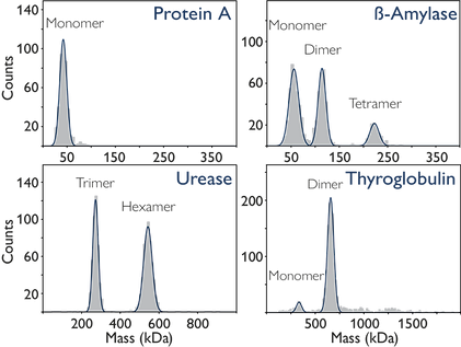 Mass Photometer: Refeyn TwoMP