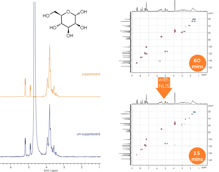X-Pulse: The future of flexible benchtop NMR spectroscopy