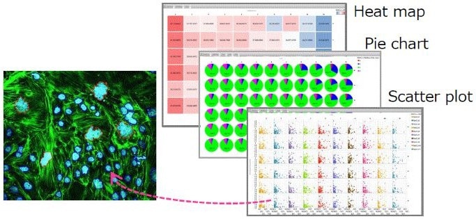 CellVoyager CQ3000: Fast, high-resolution 3D imaging for cell culture