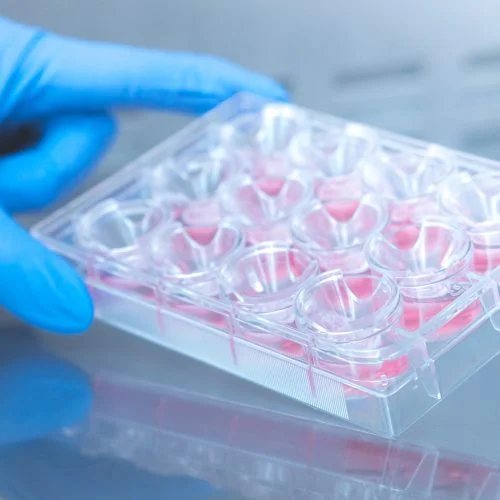 Lung ciliary beat analysis for lung small airway epithelial cells