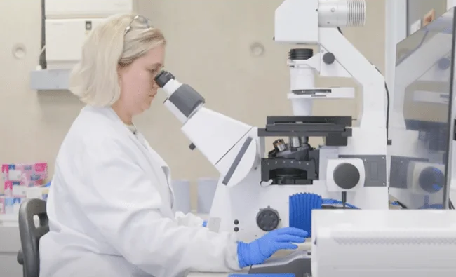 High-content imaging for high-throughout screening