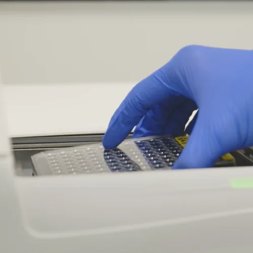 Newcells FMT assay service