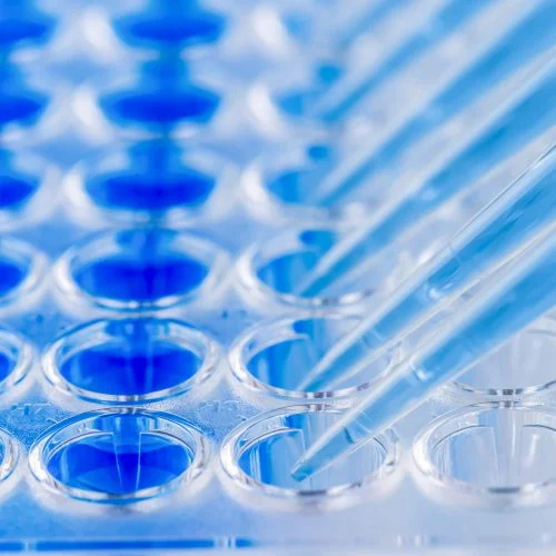 Accelerated in vitro evaluation of retinal drug toxicity