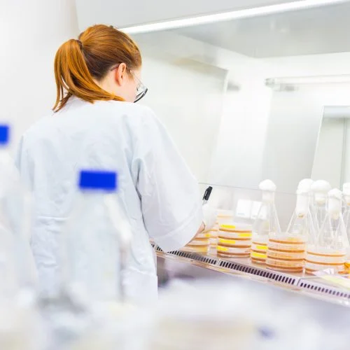 Newcells lung toxicity assay service