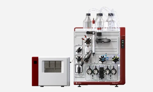 Customized enzyme development and production