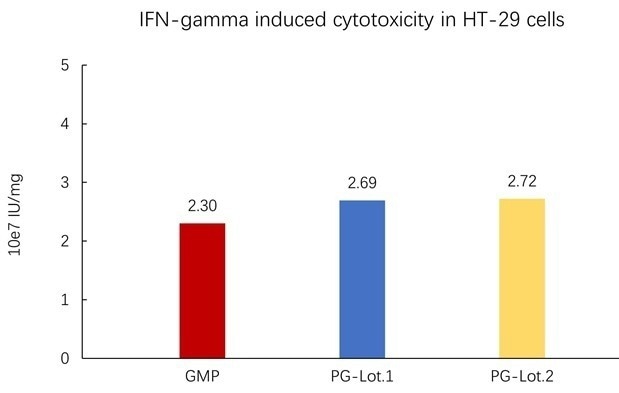 GMP-grade human IFN-gamma protein