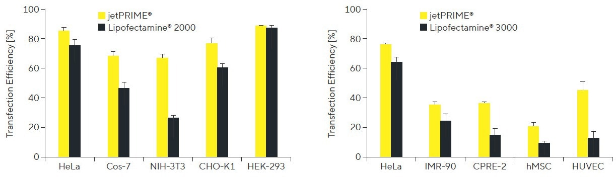 Boost DNA and siRNA transfection efficiency with jetPRIME® technology