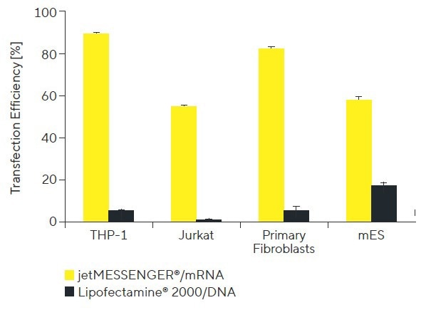 High-efficiency mRNA transfection for reliable gene expression with jetMESSENGER®