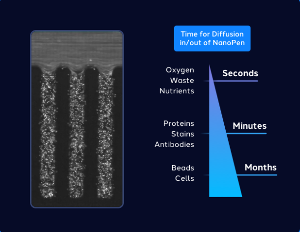 How Beacon Discovery accelerates antibody discovery