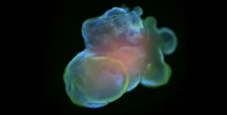 Automated cell culture with CellXpress.ai™