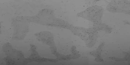 Automated cell culture with CellXpress.ai™