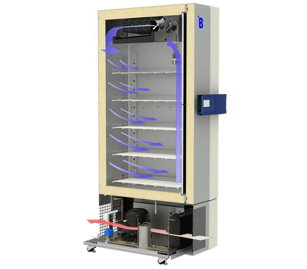 Secure blood and sample storage with the F900 laboratory freezer