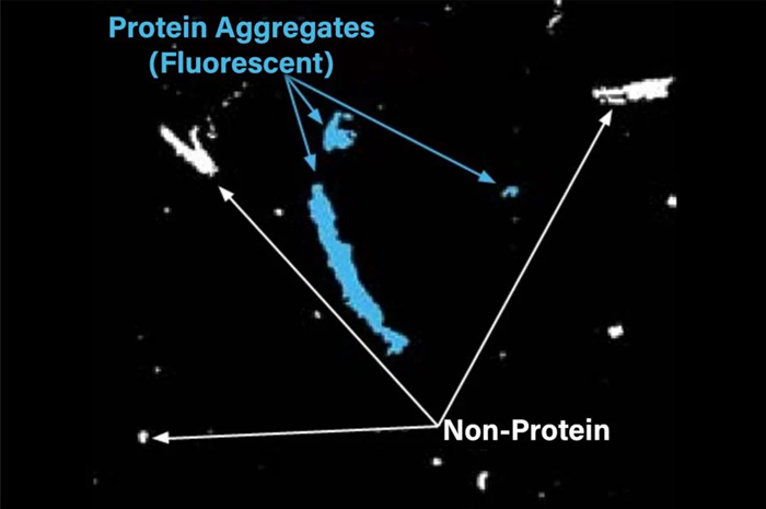 The Aura PTx System tells you exactly what is protein (via ThT staining) and what is not, even in mixed particles.