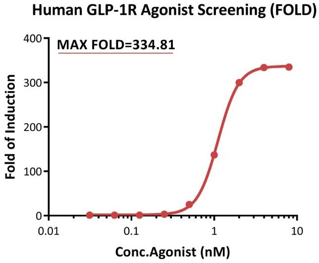 Bioactivity analysis of human GLP-1R agonist (FOLD)<b>. </b></i><i>This reporter cell was incubated with serial dilutions of Tirzepatide (a dual GLP-1R and GIPR agonist). The max induction fold was approximately 334.81