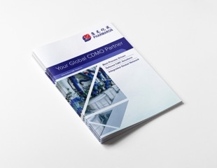 Developing a best-in-class, end-to-end CMC platform