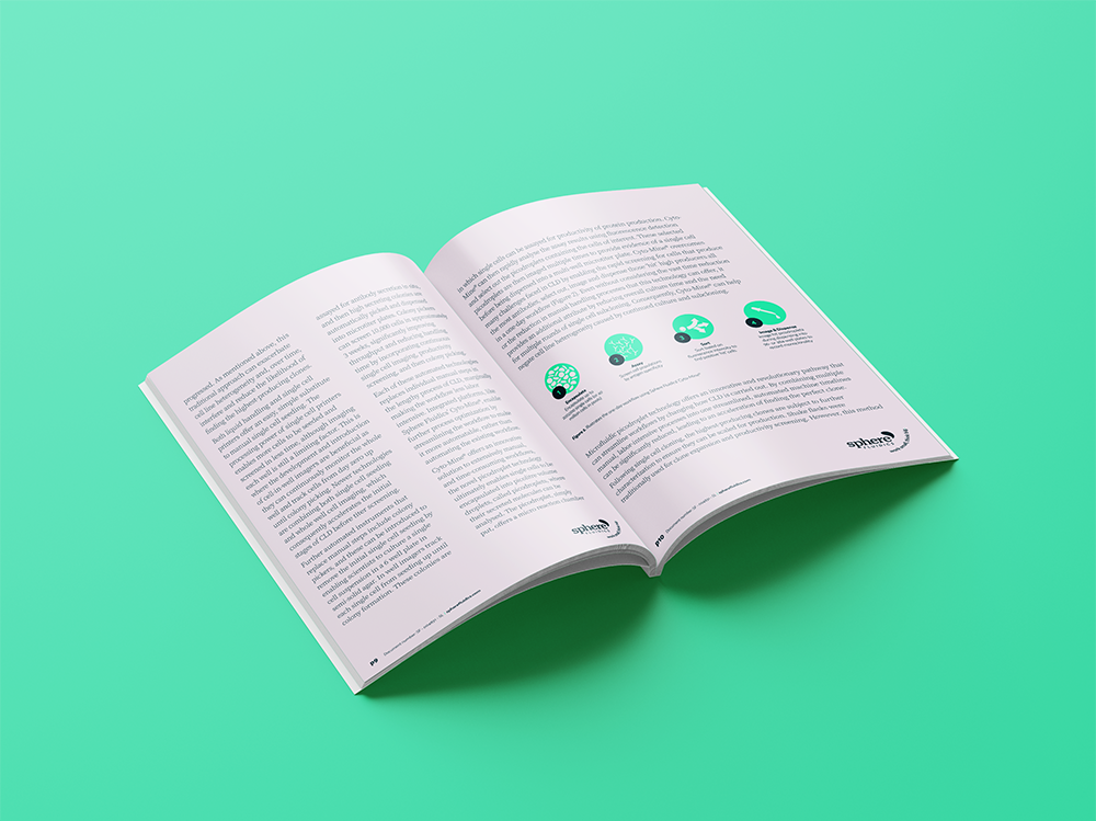 cell line development