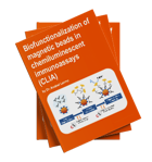 Exploring the biofunctionalization of magnetic beads in chemiluminescent immunoassays