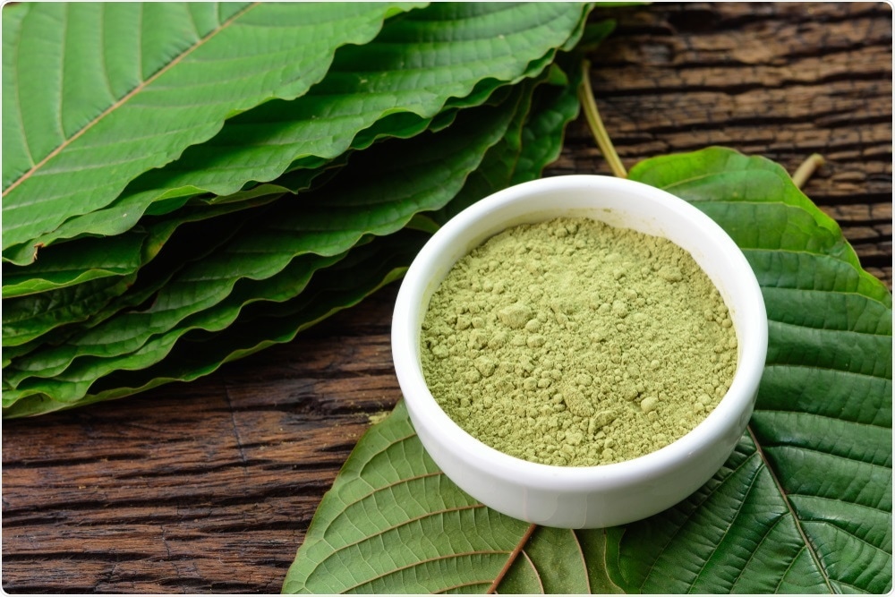 Kratom leaves can be dried and ground up to form a powder, which is often used for medicinal purposes in south asia.