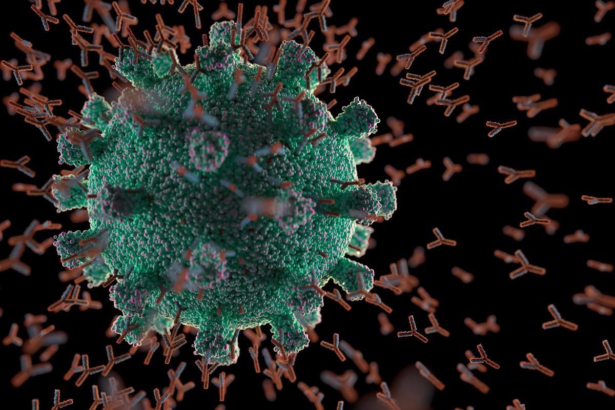 Study: Loss of Neutralizing Antibody Response to mRNA Vaccination against SARS-CoV-2 Variants: Differing Kinetics and Strong Boosting by Breakthrough Infection. Image Credit: ktsdesign/Shutterstock