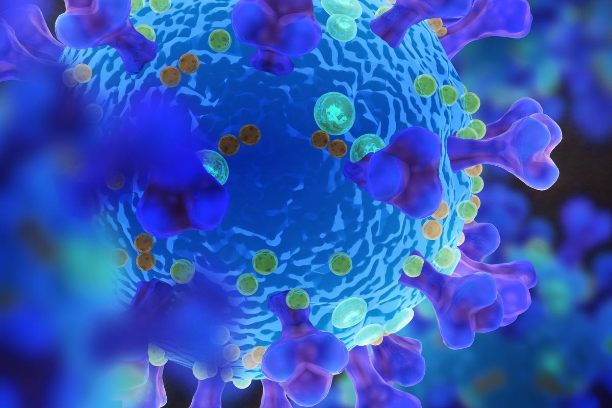 Study: The cellular characterisation of SARS-CoV-2 spike protein in virus-infected cells using Receptor Binding Domain-binding specific human monoclonal antibodies. Image Credit: Dotted Yeti/Shutterstock