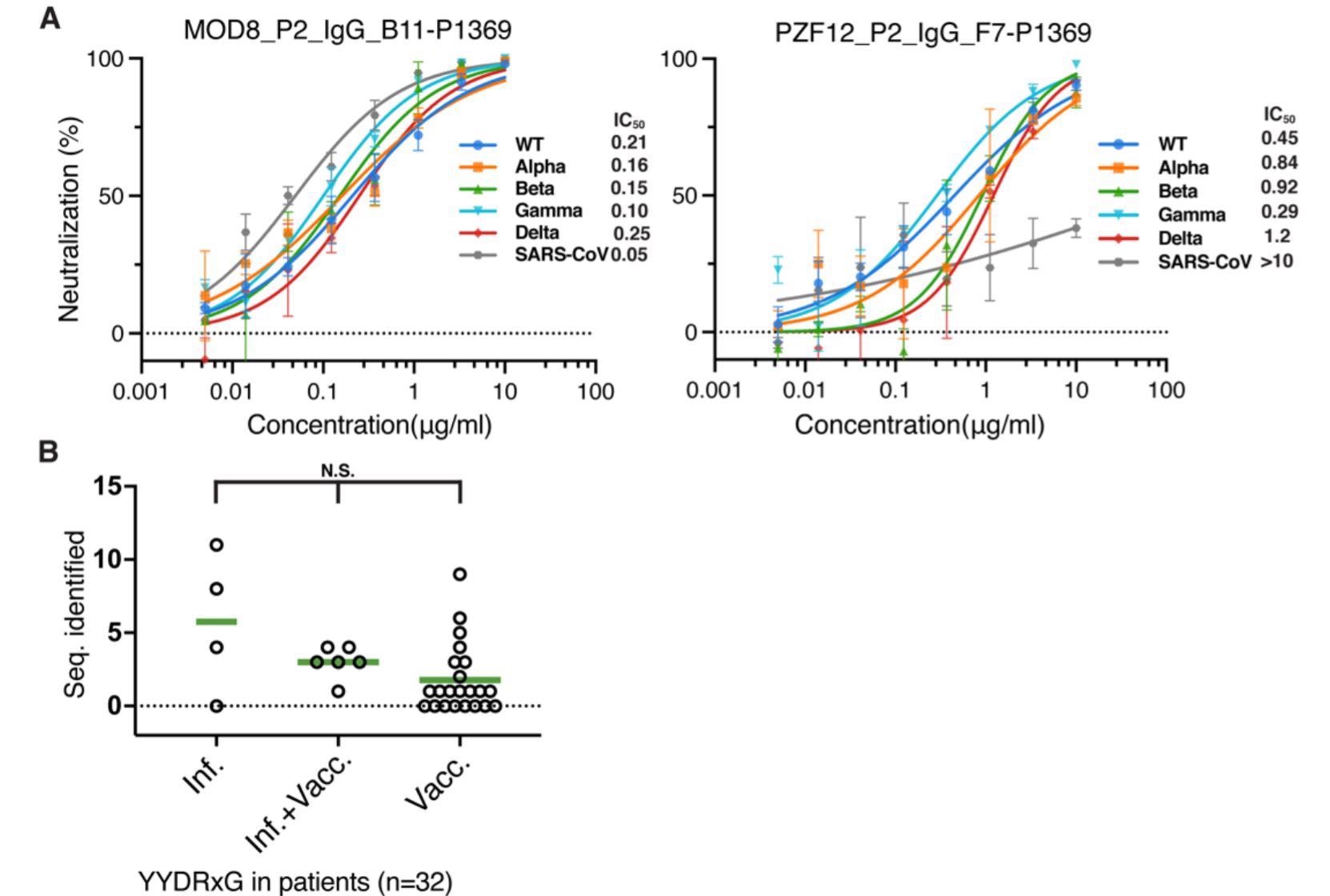The YYDRxG pattern search identifies broad and potent antibodies to sarbecoviruses