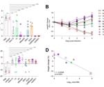 Scientists identify a panel of nanobodies with good neutralizing efficacy against SARS-CoV-2 variants of concern
