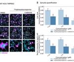 An integrated computational methodology for COVID drug prioritization