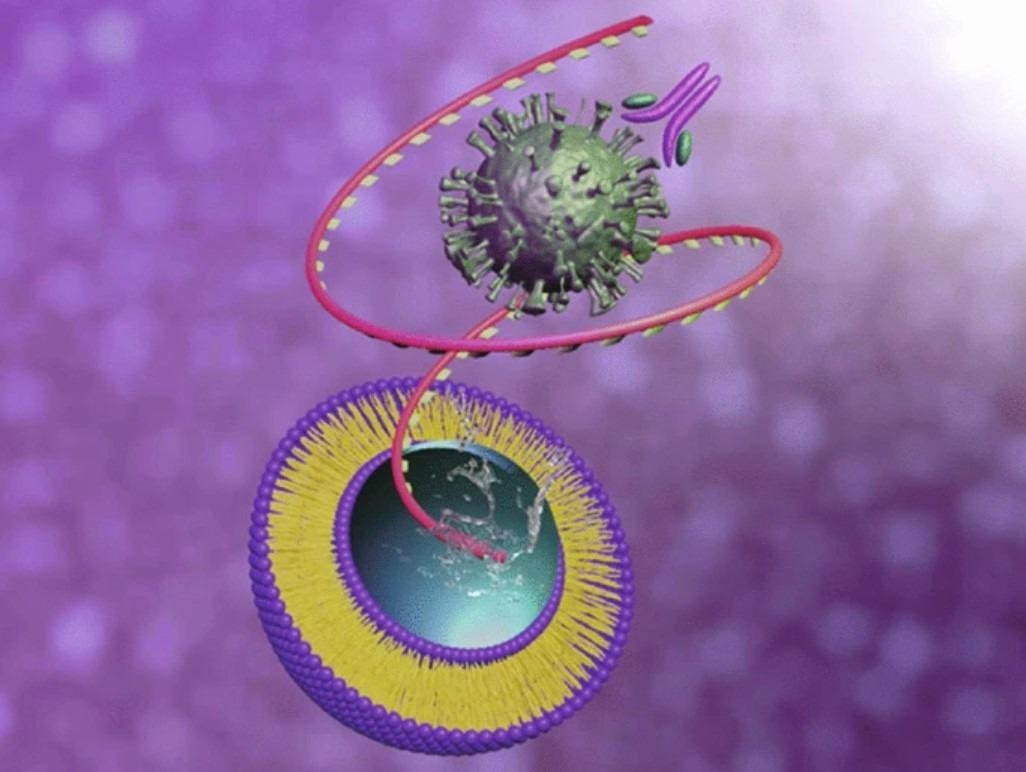 Review: From Bench to the Clinic: The Path to Translation of Nanotechnology-Enabled mRNA SARS-CoV-2 Vaccines