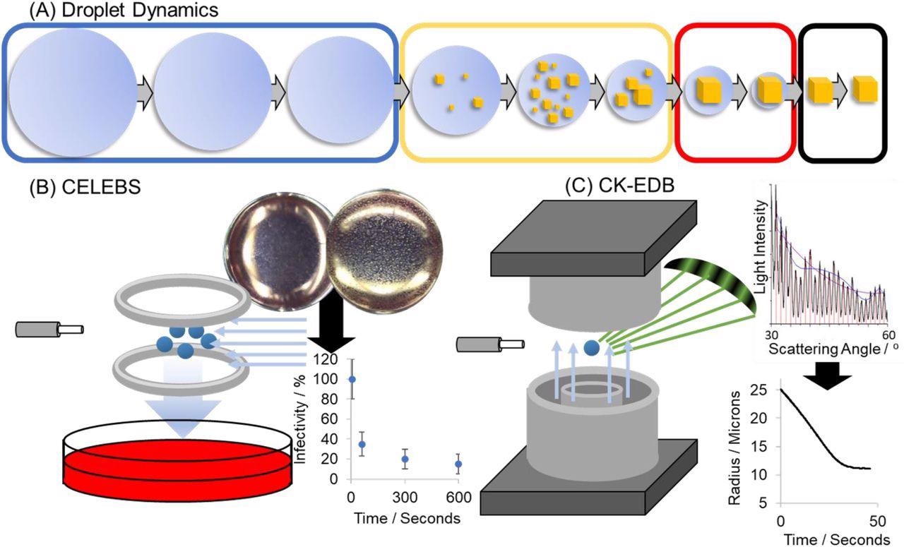 (A) Schematic of the physical changes that take place when an airborne aqueous droplet equilibrates to the surrounding relative humidity. On the left (blue box) the particle is an aqueous homogenous sphere. As the particle equilibrates to a sub-saturated RH, low-solubility solutes can precipitate inclusions within the droplet (yellow box). At a sufficiently low RH, the dominant solute (NaCl) can crystallize causing the particle to effloresce (black box). (B) Schematic of the CELEBS technique. Virus-containing particles are levitated under controlled conditions and then deposited into media which is then plated onto a cell culture. By enumerating the cytopathic effect from that deposition, the amount of virus present can be quantified. (C) Schematic of the CK-EDB technique. Particles generated by the same droplet dispensers used in CELEBS are levitated under controlled conditions in the path of a laser. The physical changes that take place in that particle are studied through analysis of the light scattered by that particle.