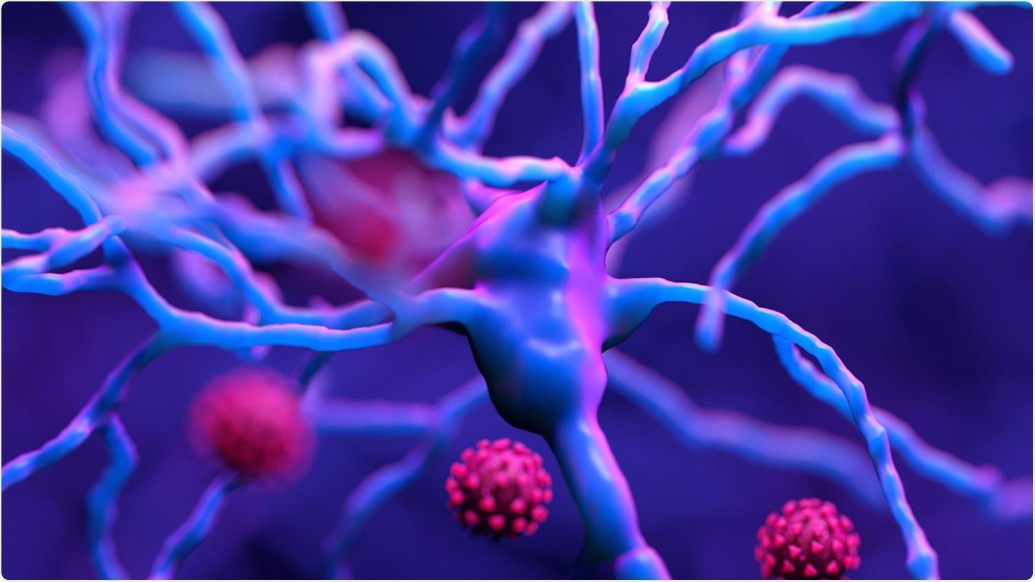 Study: Mild respiratory SARS-CoV-2 infection can cause multi-lineage cellular dysregulation and myelin loss in the brain. Image Credit: Design_Cells / Shutterstock