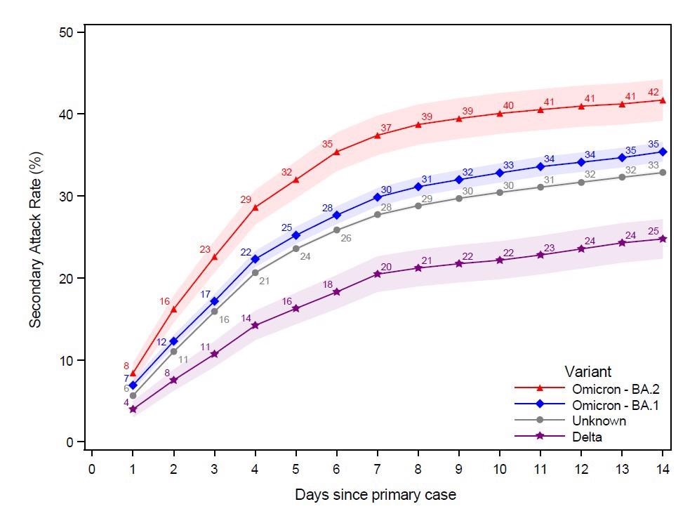 This figure shows the probability of potential secondary cases that test positive subsequently to a primary case being identified within the household in a 14-day follow-up period. Note that the latter is not conditional on being tested, i.e. the denominator contains test negative individuals and untested individuals. The x-axes show the days since the primary case tested positive, and the y-axes show the proportion of individuals testing positive with either antigen or RT-PCR tests, based on the subvariant of the primary case. The SAR for each day relative to the primary case can be read directly from the figure. For example, the SAR on day 14 is 42% for Omicron BA.2, 35% for BA.1, 33% for those without a known variant, and 25% for Delta. The shaded areas show the 95% confidence bands clustered on the household level. To allow for a 14-day follow-up, only primary cases with samples from 20 December 2021 to 5 January 2022 were included in this figure.