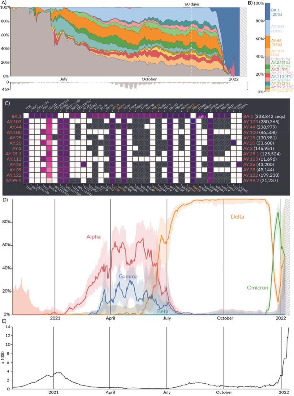 Location report. A) Relative prevalence of all lineages over time in San Diego, California. Total number of sequenced samples collected per day are shown in the bar chart below. B) Relative cumulative prevalence of all lineages over the last 60 days in San Diego. C) Mutation prevalence across the most prevalent lineages in San Diego over the last 60 days. D) Comparison of the prevalence of VOCs grouped by WHO classification: Alpha, Beta, Gamma, and Delta over time in San Diego. E) Daily reported cases in San Diego are shown in the line chart below.