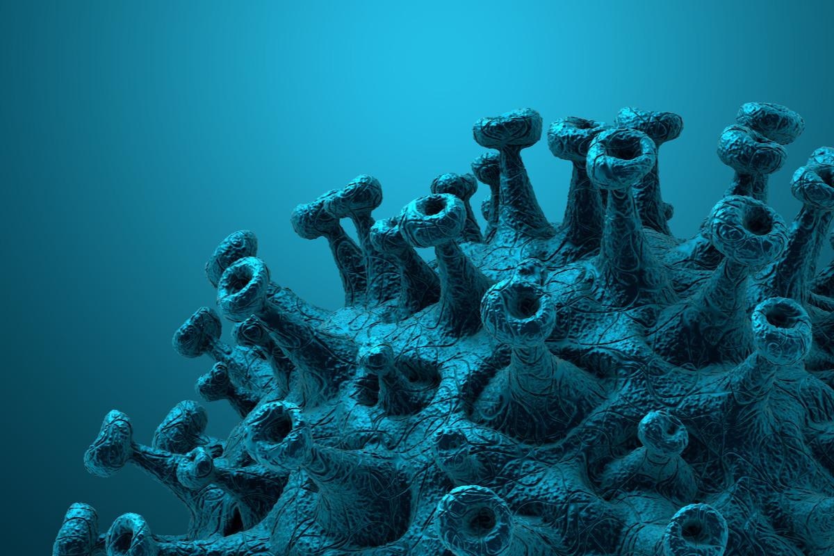 Study: A Feasible Alternative Strategy Targeting Furin Disrupts SARS-CoV-2 Infection Cycle. Image Credit: CROCOTHERY/Shutterstock