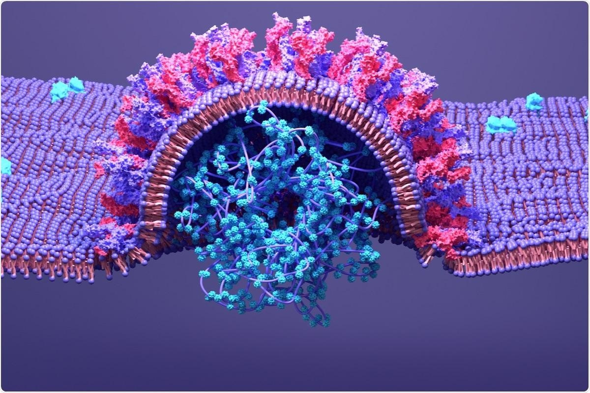 Study: The mechanism of RNA capping by SARS-CoV-2. Image Credit: Design_Cells / Shutterstock