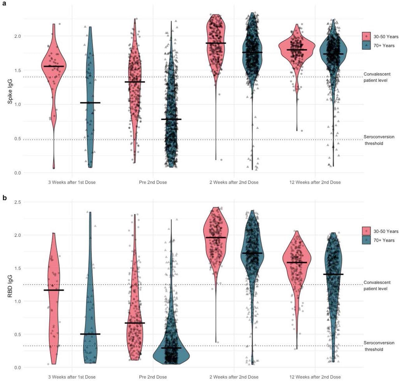 Violin plots of a) anti-Spike and b) anti-RBD (receptor binding domain) IgG normalized ratios by Time and by Age Cohort