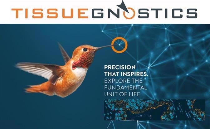 TissueGnostics