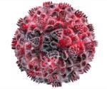 Emergence of new HIV variant underscores importance of monitoring virus mutations