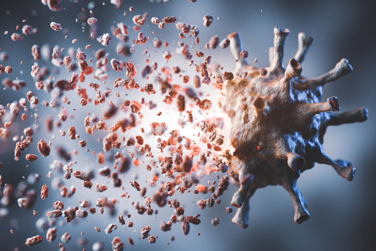 Study: Sustained Release of Co-Amorphous Matrine-Type Alkaloids and Resveratrol with Anti-COVID-19 Potential. Image Credit: PHOTOCREO Michal Bednarek