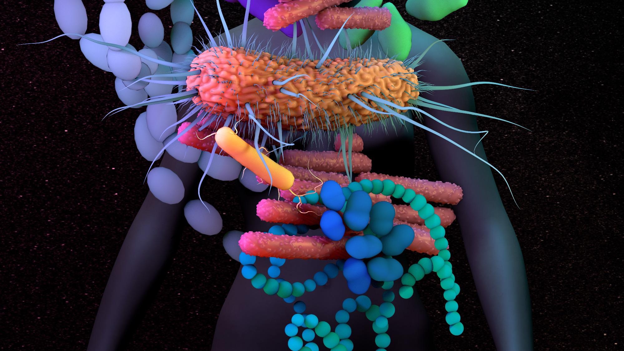 Study: Intestinal Microbiota Composition of Children with Infection with Severe Acute Respiratory Syndrome Coronavirus 2 (SARS-COV-2) and Multisystem Inflammatory Syndrome (MIS-C). Image Credit: Design_Cells / Shutterstock
