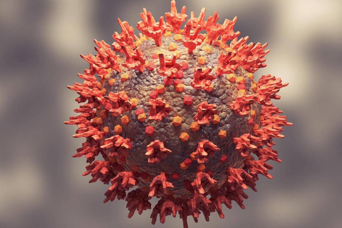 Study: SARS-CoV-2 Omicron potently neutralized by a novel antibody with unique Spike binding properties. Image Credit: Adao/Shutterstock