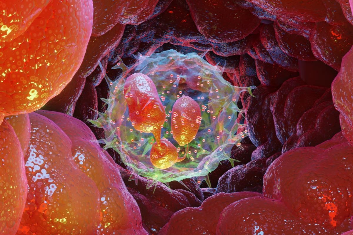 Study: Discovery of a druggable copper-signaling pathway that drives cell plasticity and inflammation. Image Credit: ALIOUI MA/Shutterstock