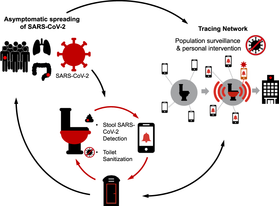 The COV-ID toilet will serve as a centralized diagnostic center in essential businesses to detect COVID-19 infection amongst the asymptomatic populations and to facilitate early diagnosis and isolation. Stool sampling will be automated with a quick turn-around time for viral RNA testing, and the toilet seat/surfaces will be sanitized in between users. The user will register with the health portal or a tracing network (which can be performed on a mobile device while on the toilet), which will then alert them to their test results (ideally within 15 min), link them with medical care, provide advice and guidelines from physicians for isolation. Aggregate data can also be used for population surveillance to assess community burden.