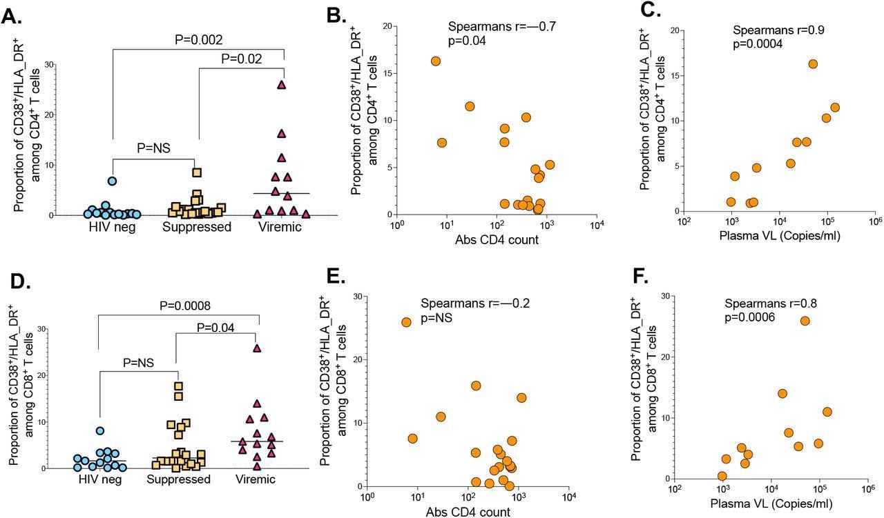 The impact of HIV markers of diseases progression on SARS-CoV-2 T cell immunity. (a) CD4+ T cell activation graphed based on the frequency of CD38/HLA-DR co-expressing cells. (b) Correlation between CD4+ T cell activation and absolute CD4 counts. (c) Correlation between CD4+ T cell activation and HIV plasma viral load. (d) CD8+ T cell activation measured by CD38/HLA-DR. (e) Correlation between CD8+ T cell activation and absolute CD4 counts. (f) Correlation between CD8+ T cell activation and HIV plasma viral load.