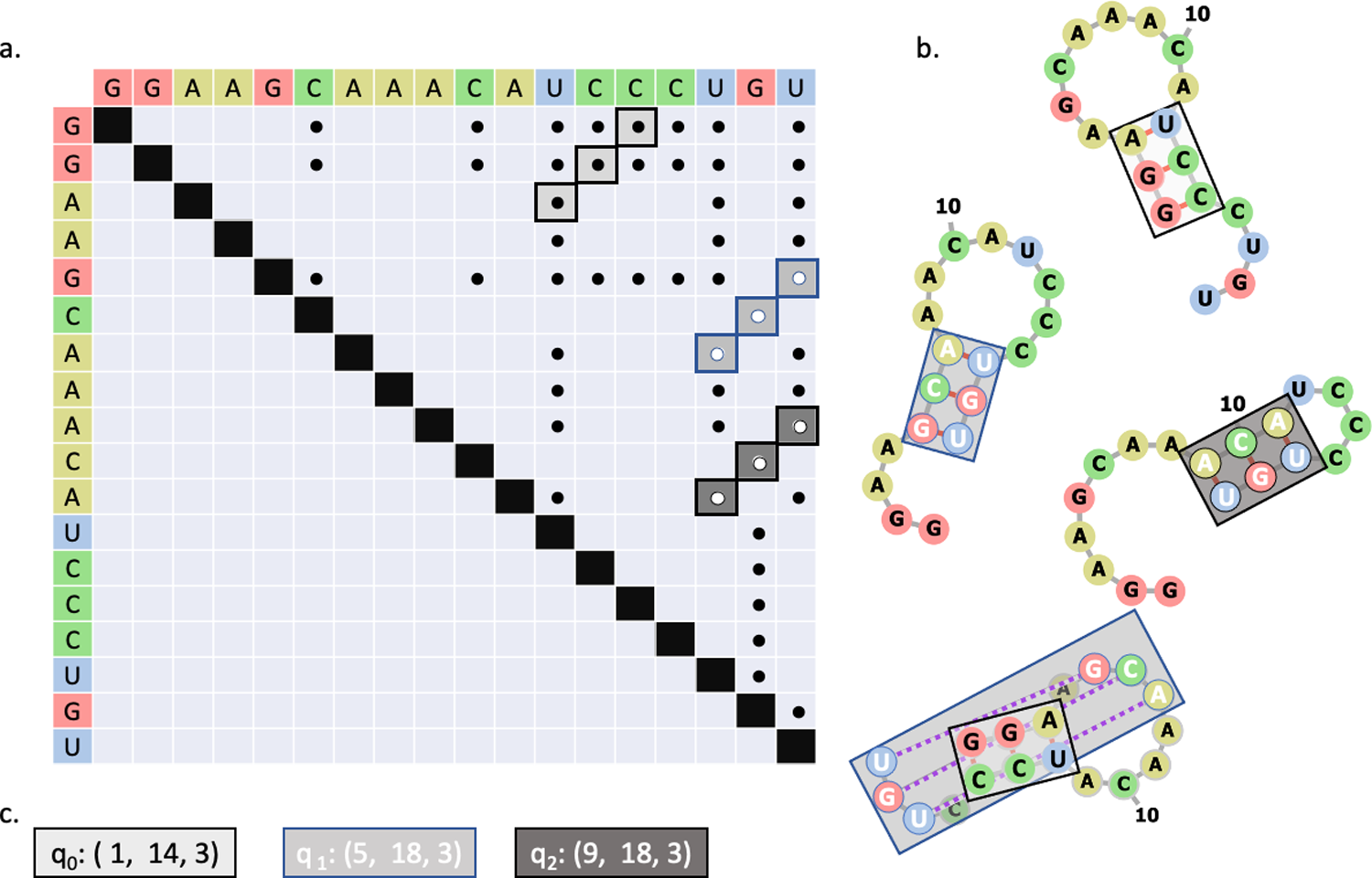 (a) Matrix representation of potential base pairs. Stems are highlighted in shades of gray and outlined in black or blue. The colors serve only to help distinguish the stems. (b) Structural representations of stems. Grey lines indicate covalent bonds, red lines indicate base pairing, and dashed purple lines represent base pairs in a pseudoknot configuration. The color of the boxes map to the stems identified in (a). (c) Each possible stem is assigned to a qubit on the quantum device. If the qubit returns “1”, then the associated stem is included in the RNA secondary structure. Otherwise, the stem is excluded.