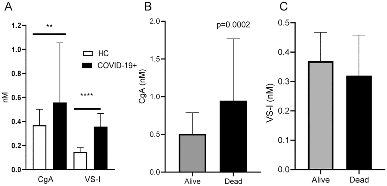 Panel A: CgA and VS-I plasma levels in age- and sex-matched healthy controls (HC) and COVID-19 patients at hospital admission. Panel B: CgA plasma levels in COVID-19 patients with favorable outcome (Alive) or who died (Dead). Panel C: VS-I in Alive or Dead patients. ** p<0.001.