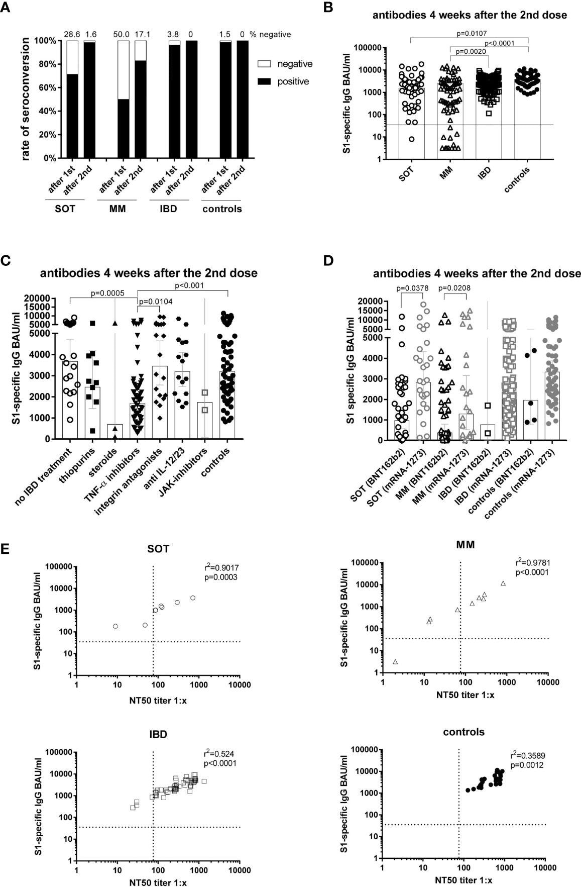 Antibody responses four weeks after the second mRNA vaccination and correlation of S1-specific IgG with neutralizing antibodies. Seroconversion rates after the first and second dose in all study participants of all groups (A). Individual S1-specific IgG levels of all participants (B). S1-specific IgG levels of IBD patients in respect of their treatment and in comparison to the controls (C). S1-specific antibody levels in relation to the type of mRNA vaccine applied (BNT162b2 or mRNA-1273), whereby due to the number of participants statistical differences could only be calculated for SOT and MM patients (D). Correlation of S1-specific IgG levels with the NT50 of a neutralization test with sera taken four weeks after the second vaccination (n=106) (E). SOT (n=63) are represented as circles, MM (n=70) as triangles, IBD (n=130) patients as squares and controls (n=55) as full black or grey circles. Differences between the groups below p values of 0.05 were regarded as significant. The black and dotted lines (E) indicate the threshold for positive results (35.2 BAU/ml and NT50). Bars (B-D) represent GMC with 95% confidence interval (CI).